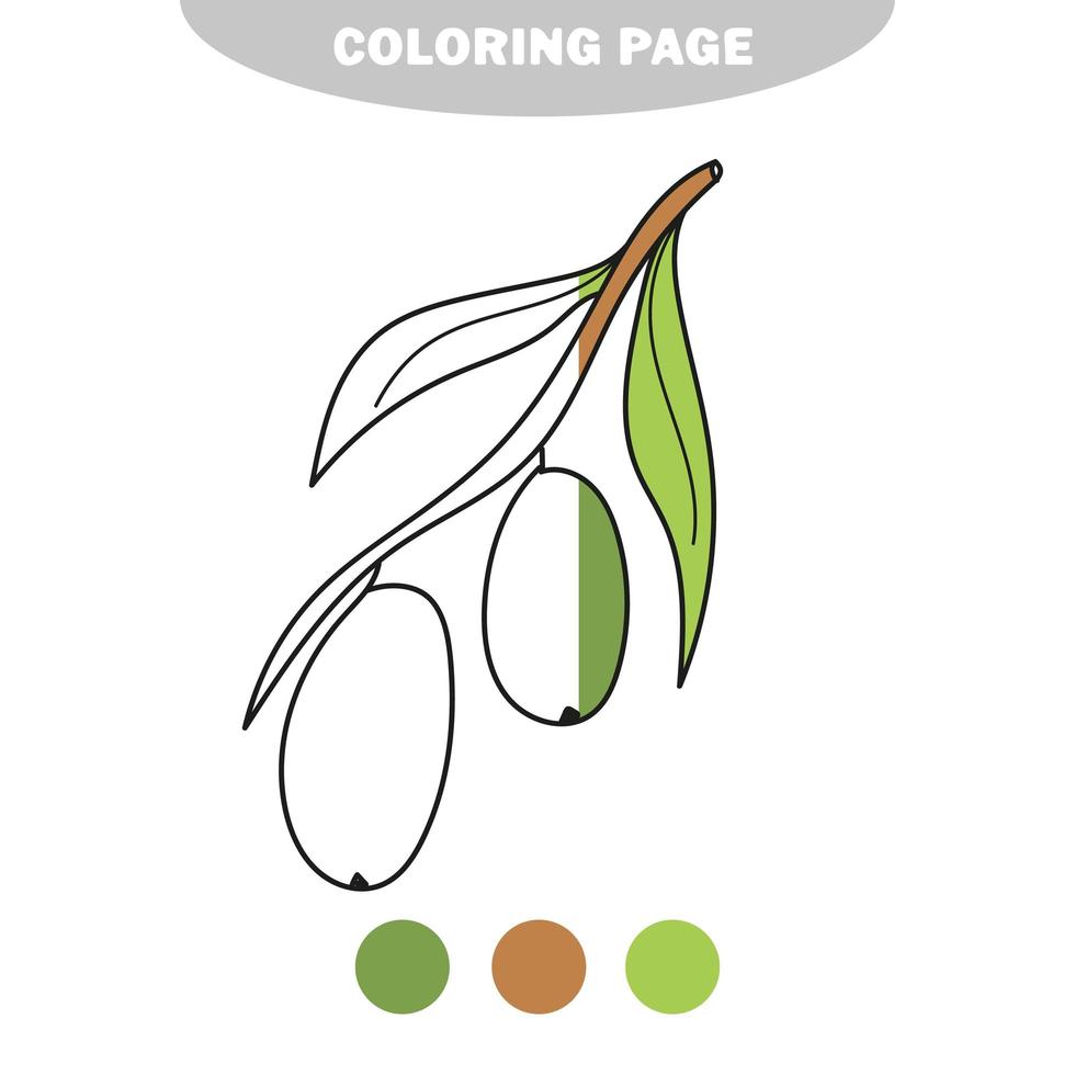coloriage simple. livre de coloriage pour les enfants avec des olives vecteur