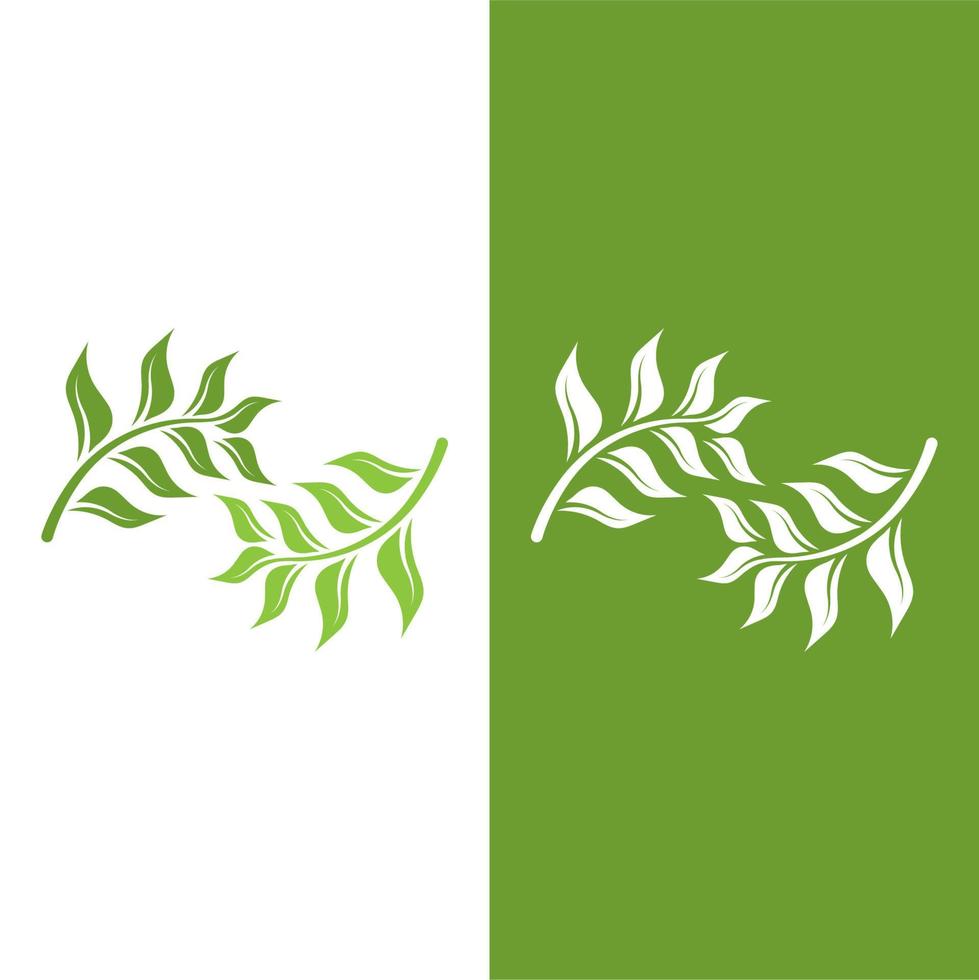 logos de l'écologie des feuilles d'arbre vert vecteur