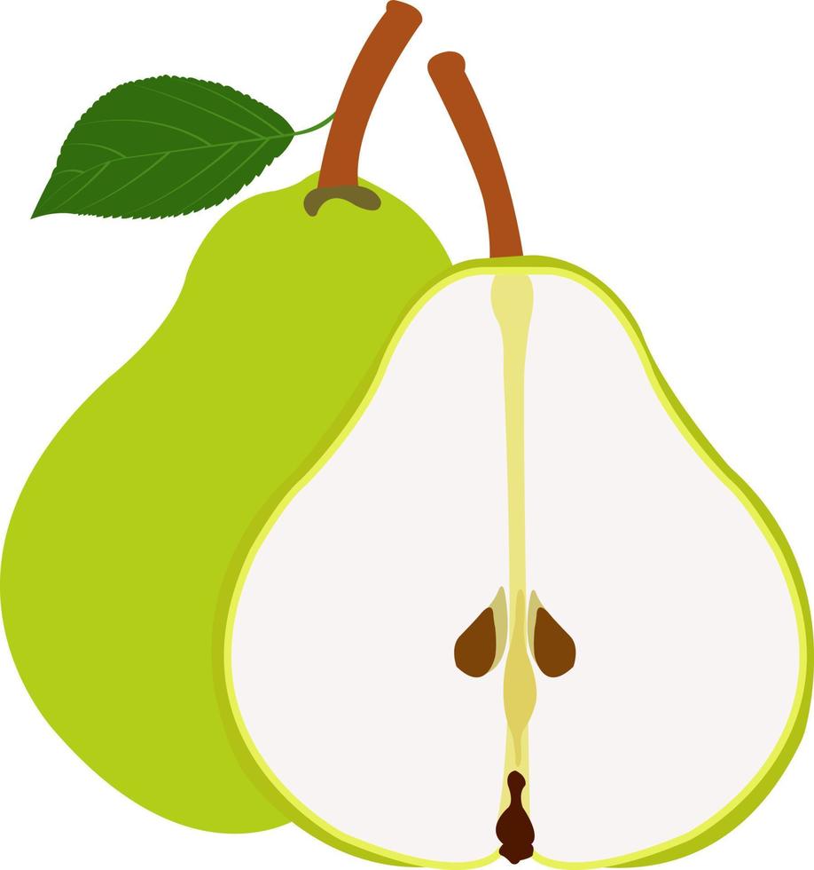 avantages pour la santé et la nutrition des poires, illustrations vectorielles de poires vecteur
