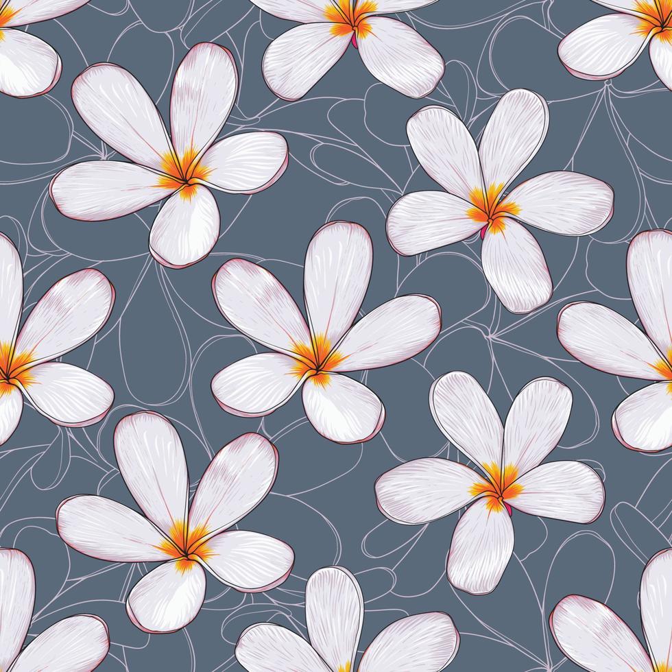 Floral pattern transparente avec des fleurs de frangipanier abstract background.vector illustration ligne dessinée à la main art.fabric conception d'impression textile vecteur