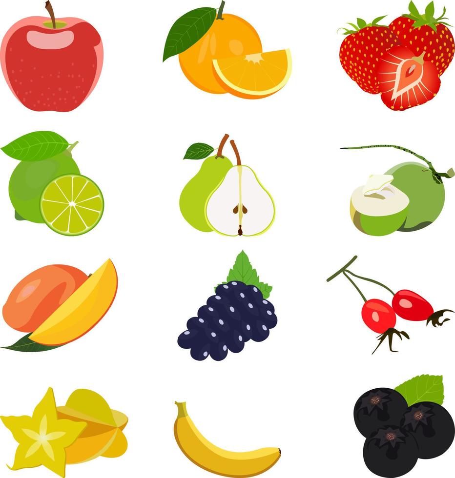 différentes illustrations vectorielles de fruits sains vecteur