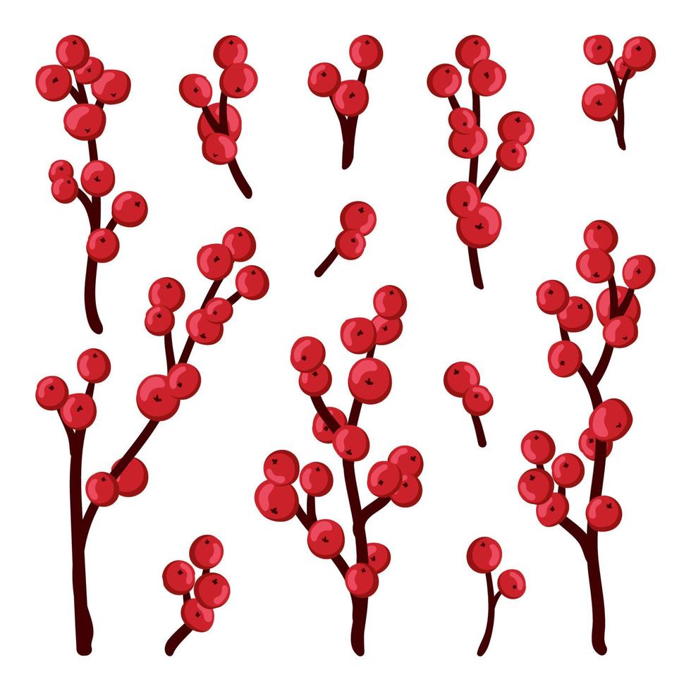 ensemble de baies de houx de noël, baies rouges, branches, brindilles. illustration vectorielle hiver isolée sur fond blanc pour les cartes de Noël et le design décoratif. vecteur