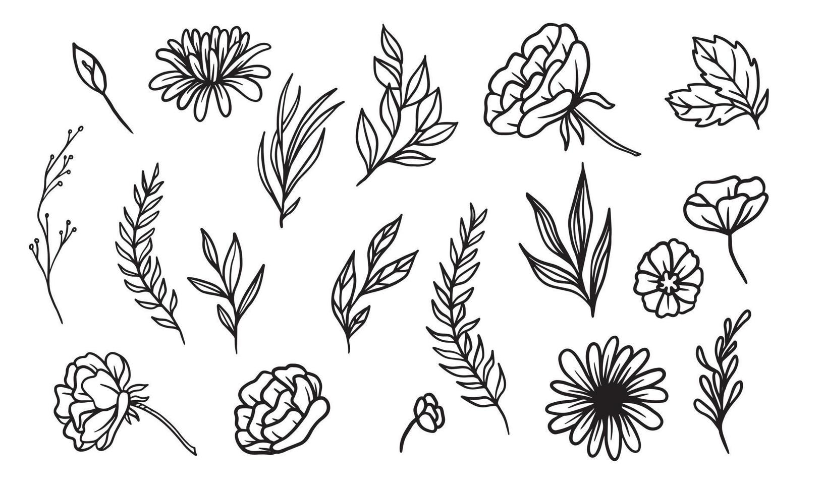 ensemble d'éléments floraux dessinés à la main pour votre conception, illustration de feuilles et de fleurs pour créer un design romantique ou vintage, graphique isolé de plante très facile à ajouter à votre projet de conception vecteur