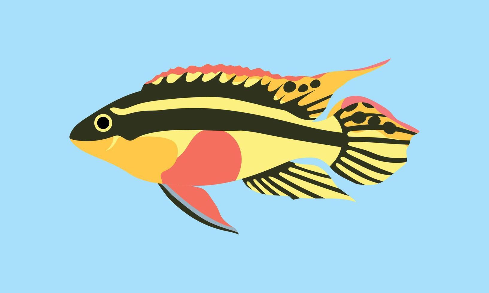 Pulcher pelvicachromis. ensemble de collection d'illustration de poisson de corail. le dessin à la main de la vie sous-marine. animation vectorielle dessinée à la main. adorables et beaux poissons de la vie marine. vecteur