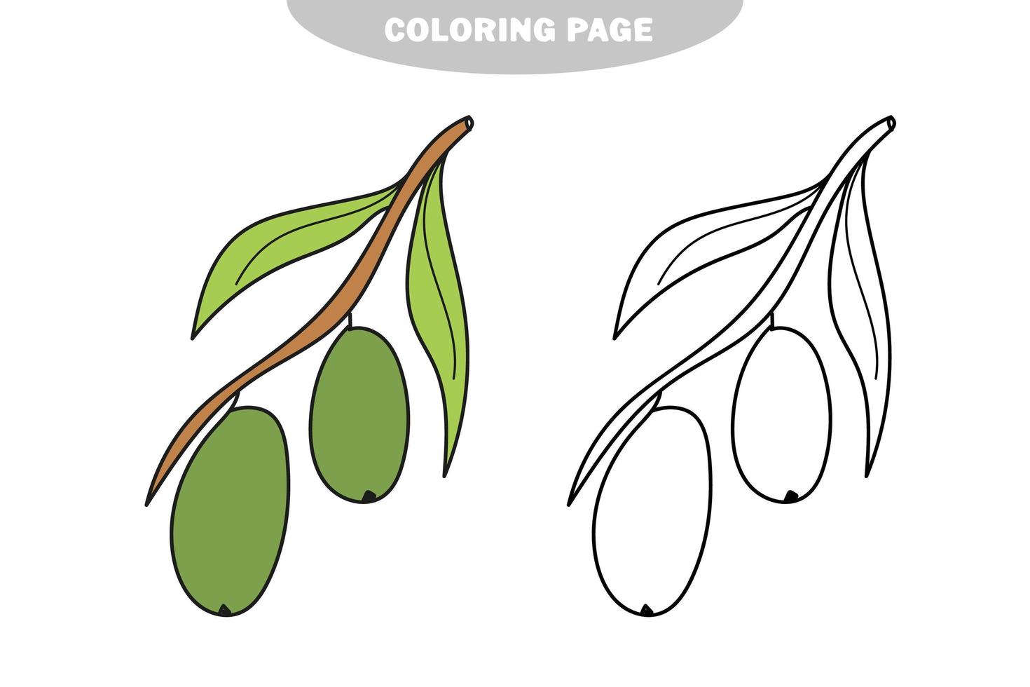 coloriage simple. livre de coloriage pour les enfants avec des olives vecteur