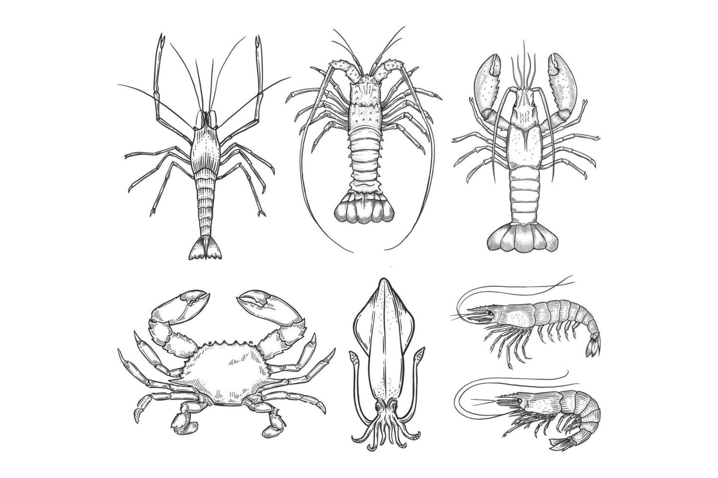 lot d'illustrations dessinées à la main de fruits de mer vecteur