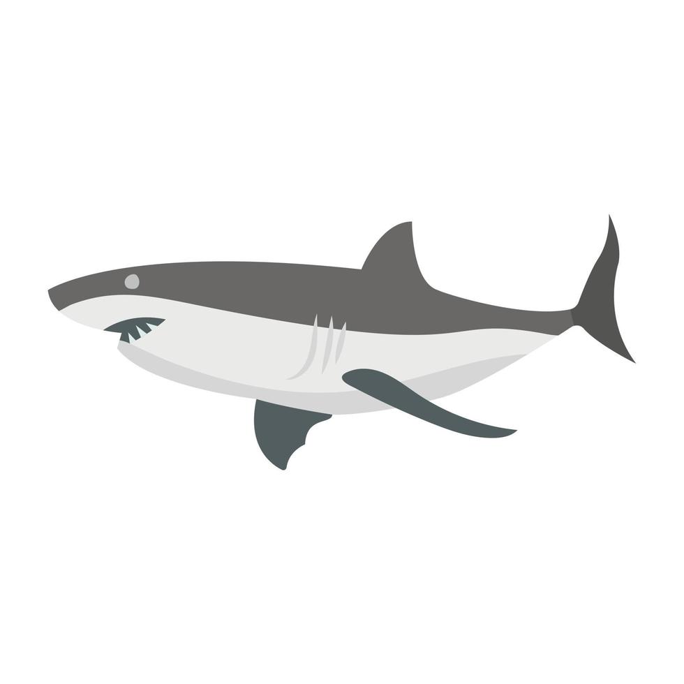 concepts de requin à la mode vecteur