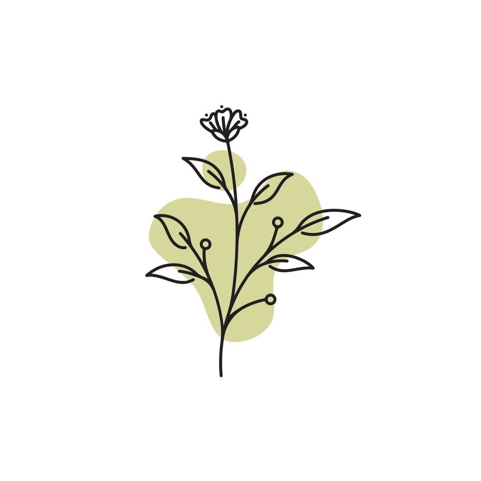 modèle de logo botanique vectoriel dans un dessin à la main élégant et un style minimal. objet isolé flower.for badges logotypes et image de marque