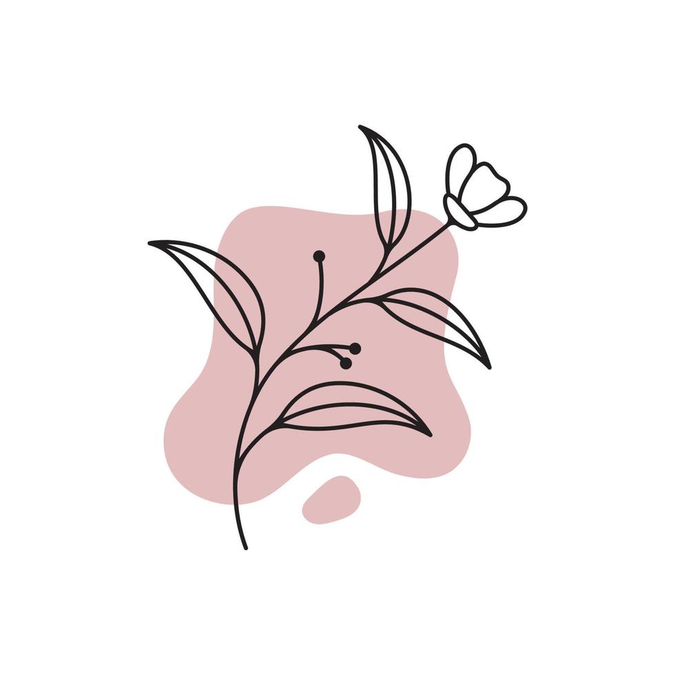 modèle de logo botanique vectoriel dans un dessin à la main élégant et un style minimal. objet isolé flower.for badges logotypes et image de marque