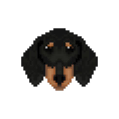 Tête de chien de teckel dans le style pixel art. vecteur