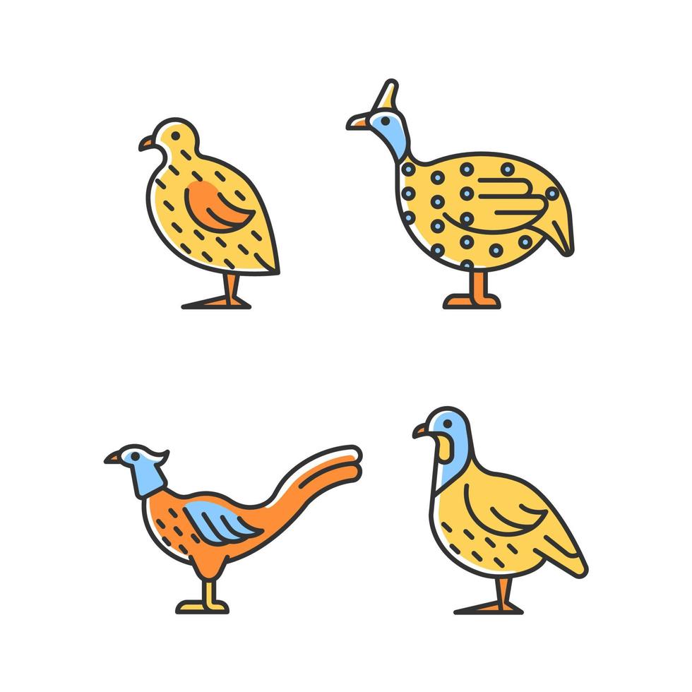 Ensemble d'icônes de couleur rvb landfowl. caille japonaise. famille de faisans. pintade. oiseaux domestiqués. élevage commercial de volailles. illustrations vectorielles isolées. collection de dessins au trait remplis simples vecteur