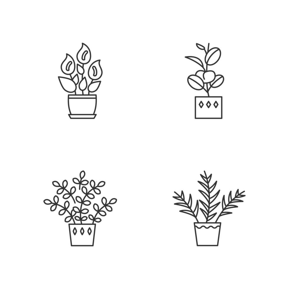 Ensemble d'icônes linéaires parfaites de pixel de plantes d'intérieur. plantes d'intérieur. lis de la paix, plante zz. palmier de salon, ficus. symboles de contour de ligne mince personnalisables. illustrations de contour de vecteur isolé. trait modifiable