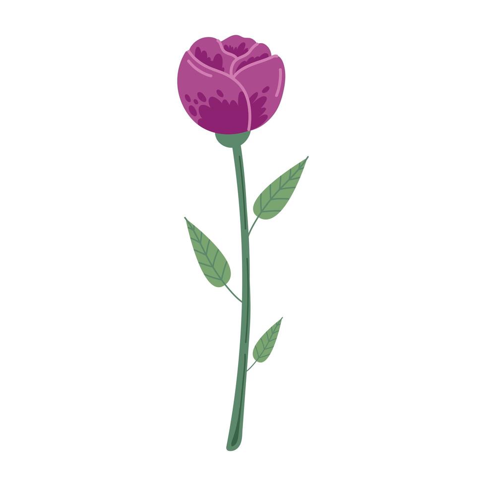 fleur de beauté violette vecteur