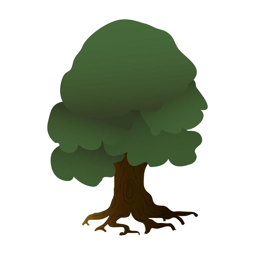 icône isolé de la nature arbre plante vecteur