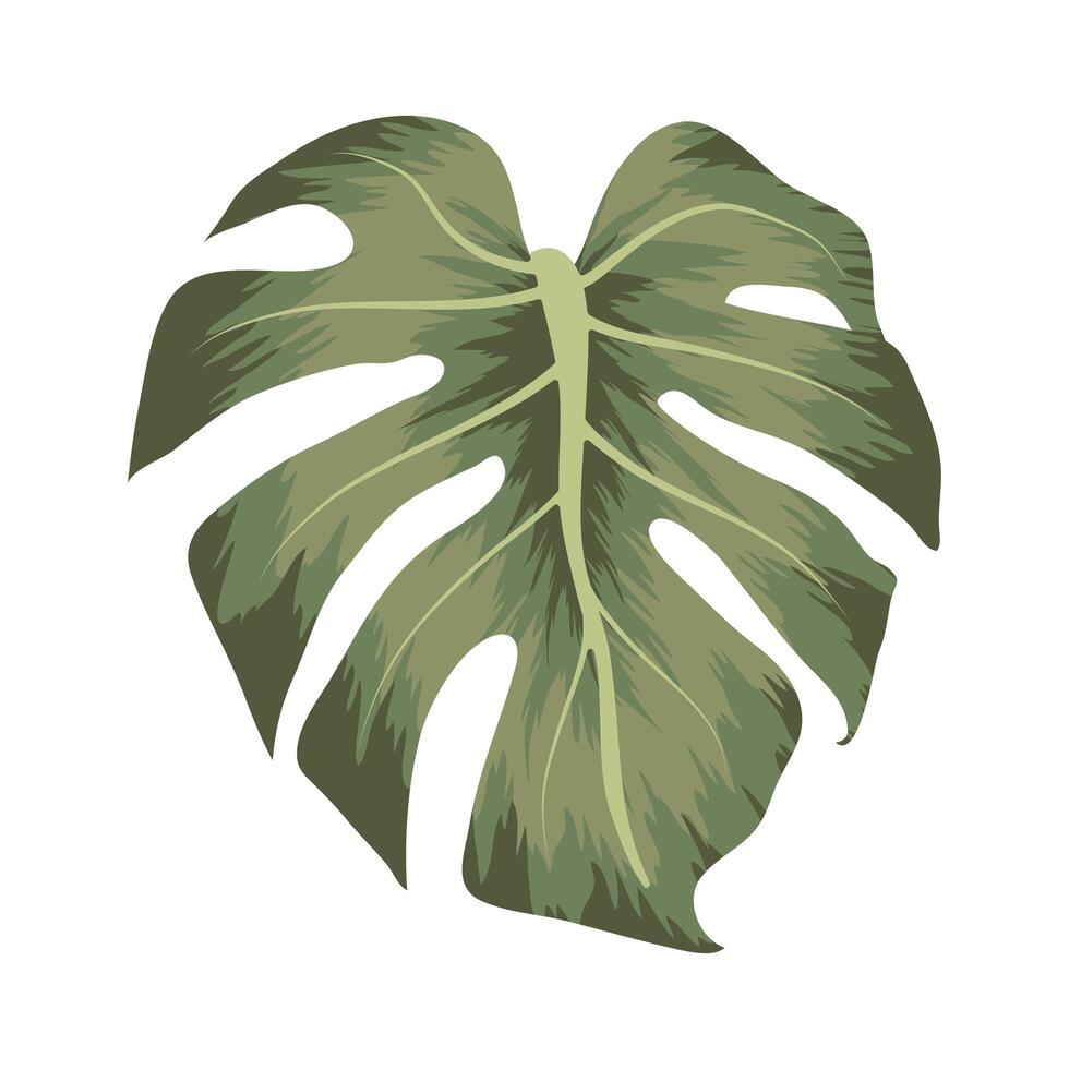 illustration de monstera cool vecteur