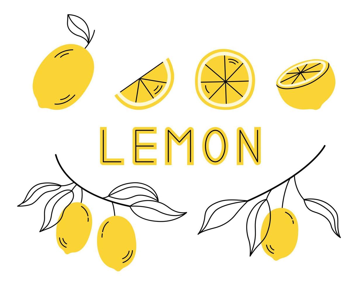 ensemble de fruits de citron frais avec des feuilles. illustration vectorielle isolée sur fond blanc. vecteur