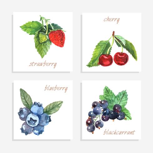 cartes papier berry vecteur