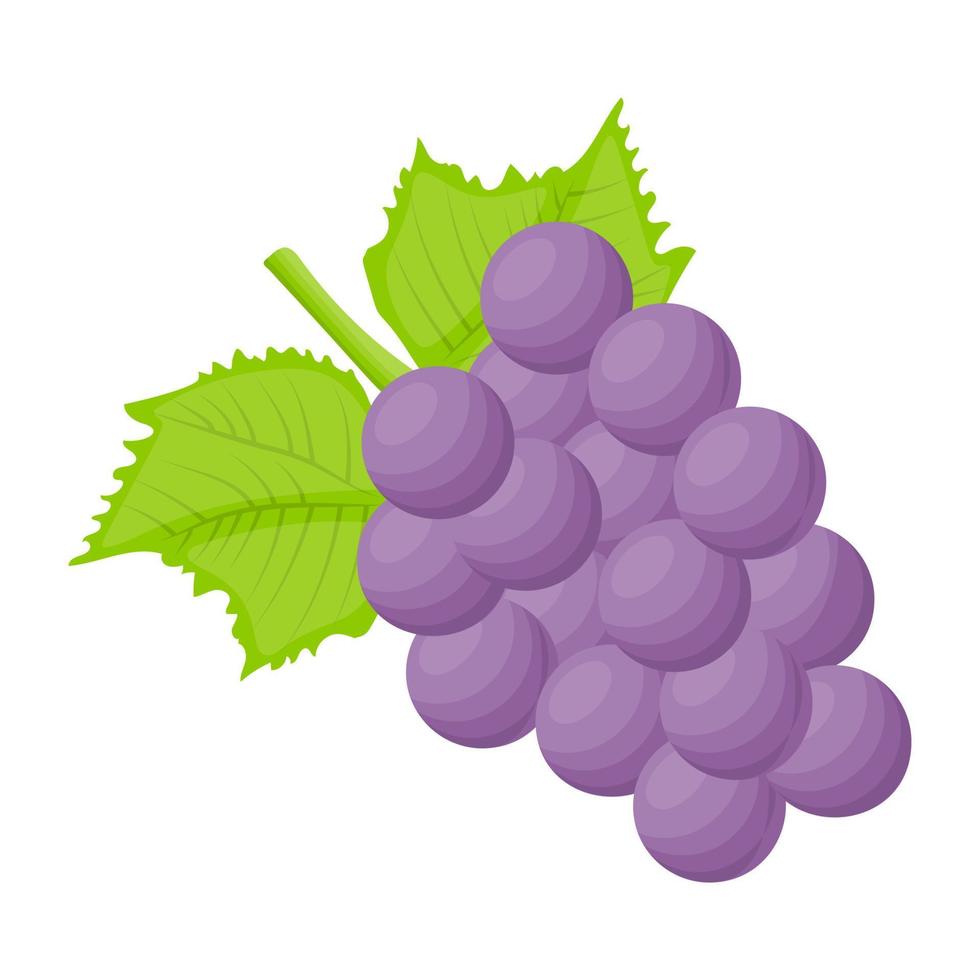 concepts de beautyberry à la mode vecteur