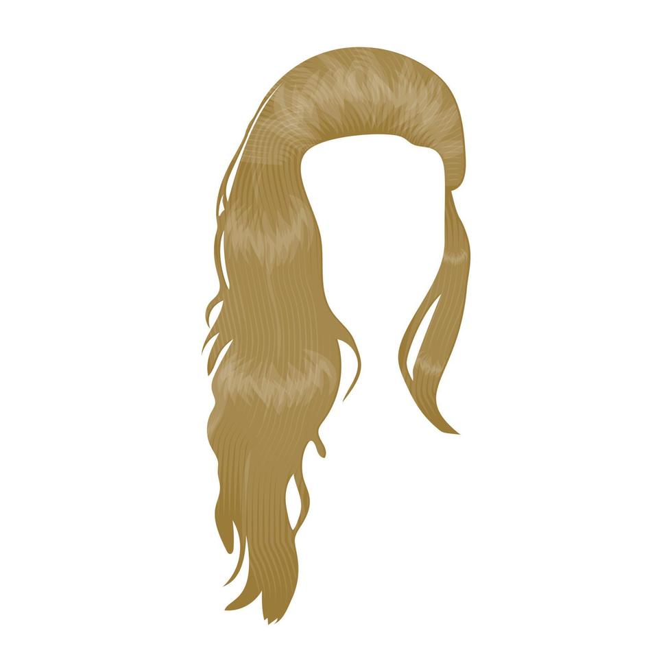 notions de cheveux longs vecteur