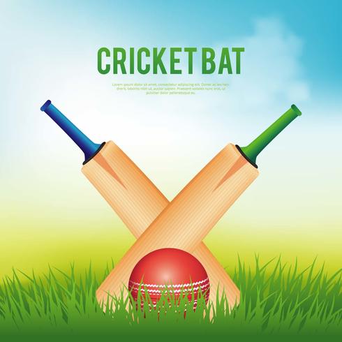 Illustration de batte de cricket vecteur