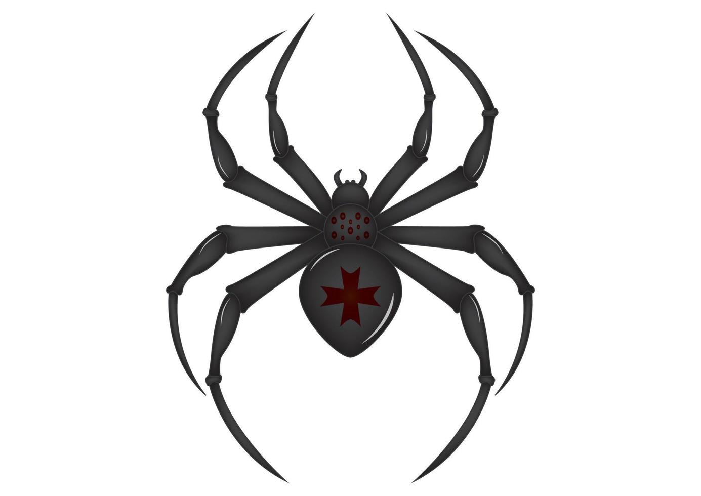 clipart araignée croisé. arachnie noire. Vector illustration d'araignée noire isolé sur fond blanc