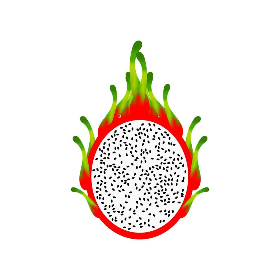 vecteur ou clipart de fruit du dragon. icône de fruit du dragon