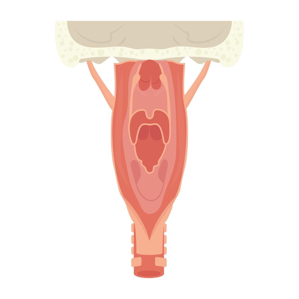 concepts de larynx à la mode vecteur