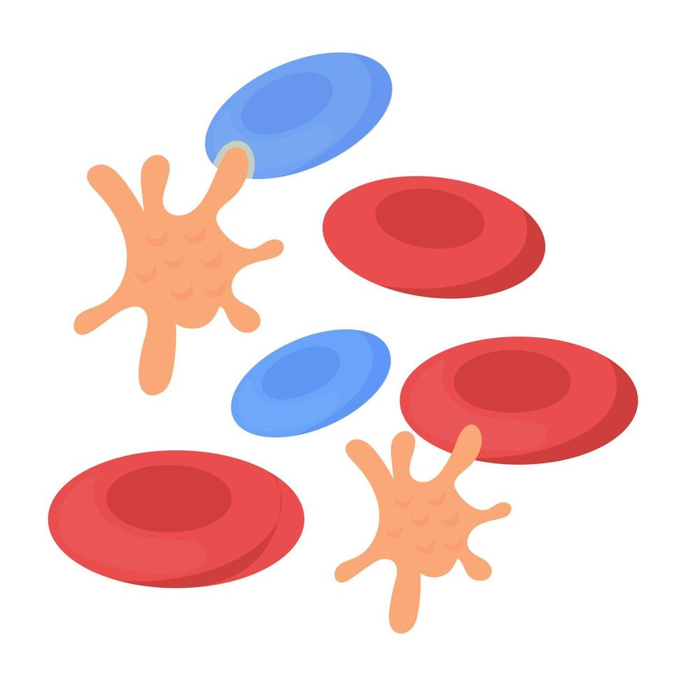 notions de cellules sanguines vecteur