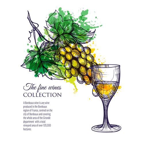 Verre de vin blanc avec des raisins de la branche vecteur
