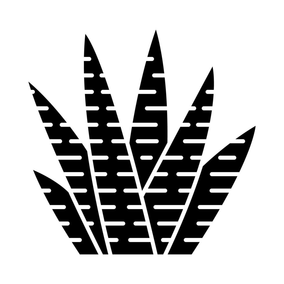 icône de glyphe de cactus zèbre. haworthia. petite plante succulente. jardin et plante en pot. flore exotique africaine. symbole de silhouette. espace négatif. illustration vectorielle isolée vecteur