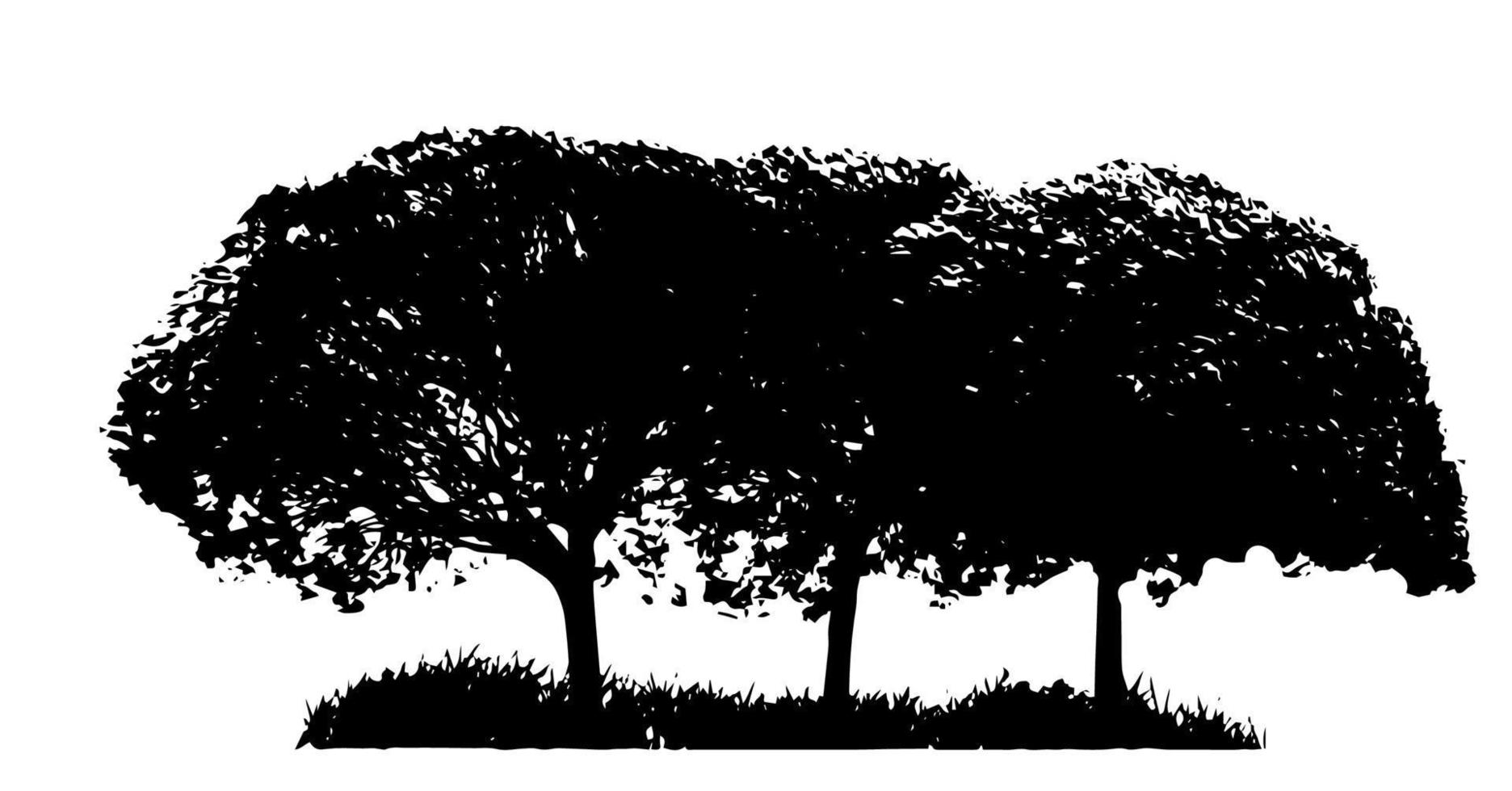 silhouette d'arbre isolé sur fond blanc. illustration vectorielle vecteur