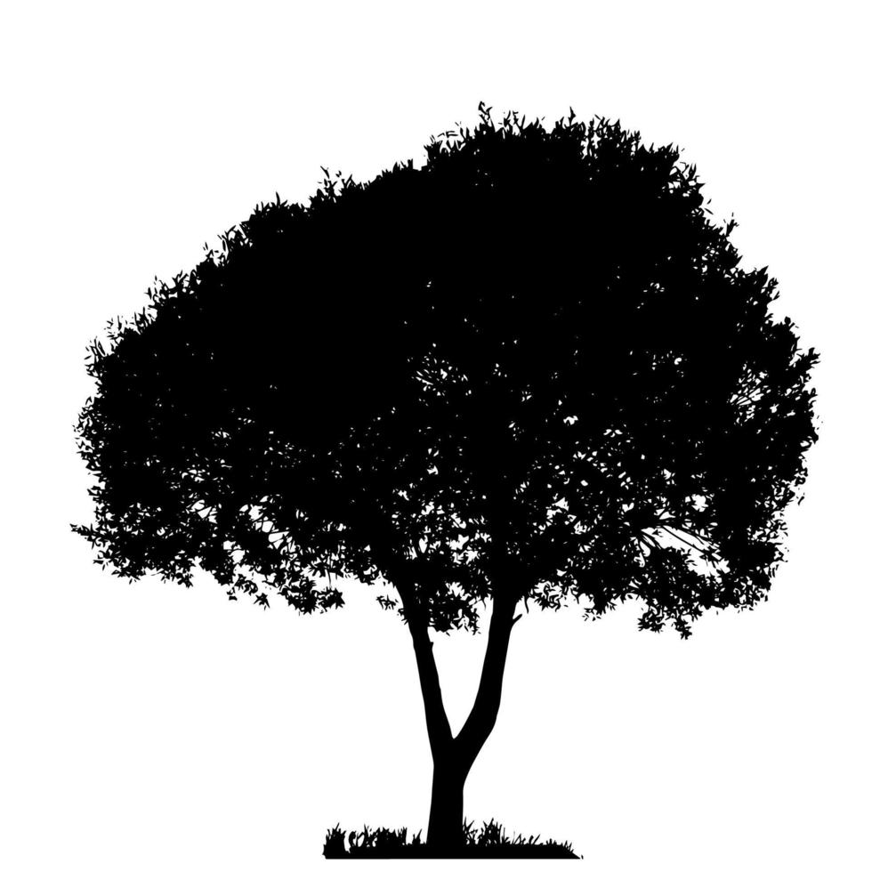 silhouette d'arbre isolé sur fond blanc. illustration vectorielle vecteur