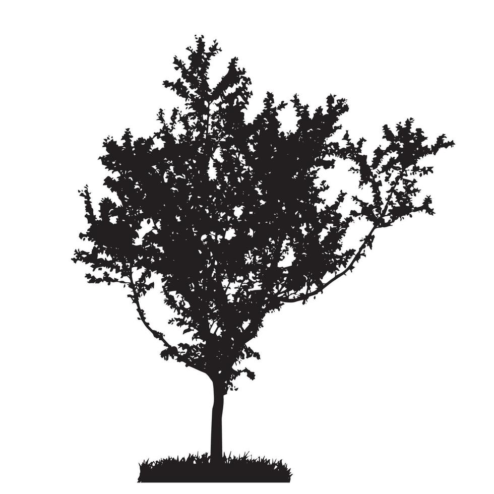 silhouette d'arbre isolé sur fond blanc. illustration vectorielle vecteur