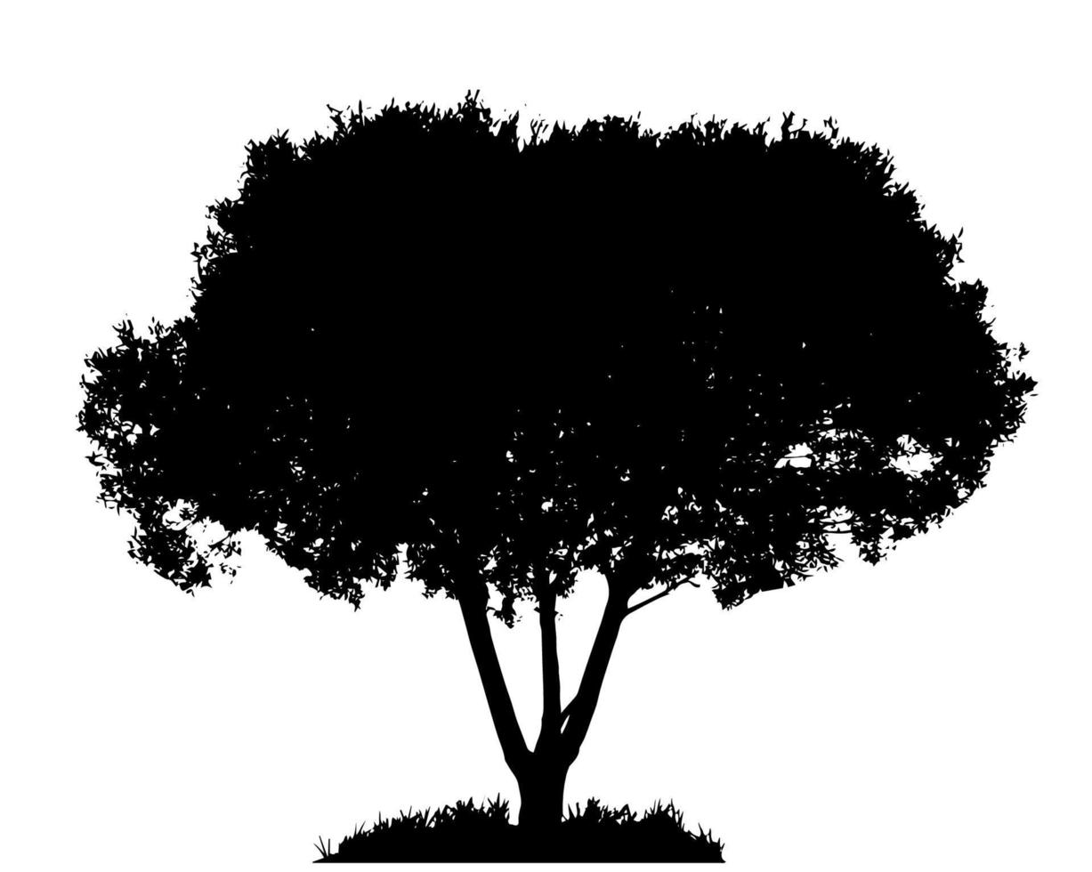 silhouette d'arbre isolé sur fond blanc. illustration vectorielle vecteur