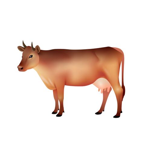 Vache brune réaliste vecteur