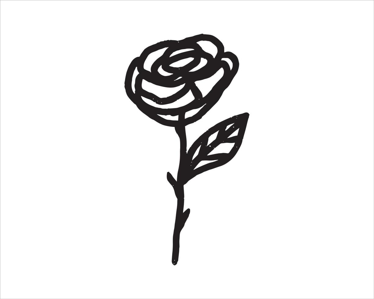 illustration rose dans un simple dessin au trait doodle. un dessin vectoriel d'une belle rose pour la conception, l'impression, l'autocollant, etc.