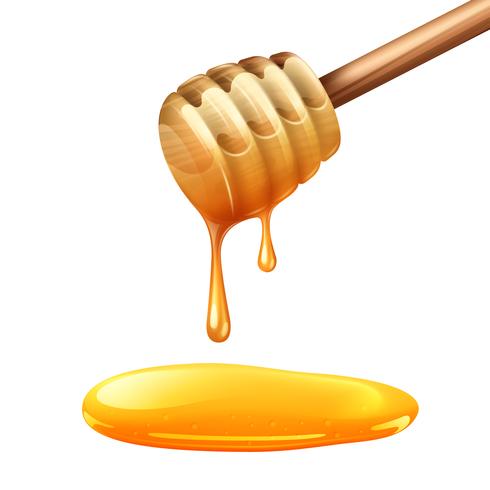 Illustration de bâton de miel vecteur