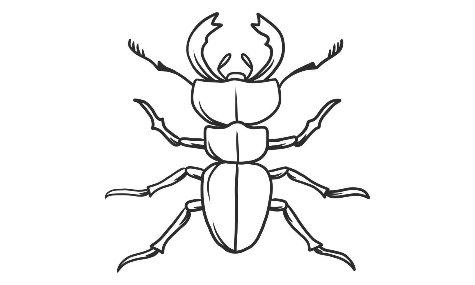 Vector lineart illustration de coléoptères sur fond blanc, croquis d'insectes scarabée japonais dessinés à la main