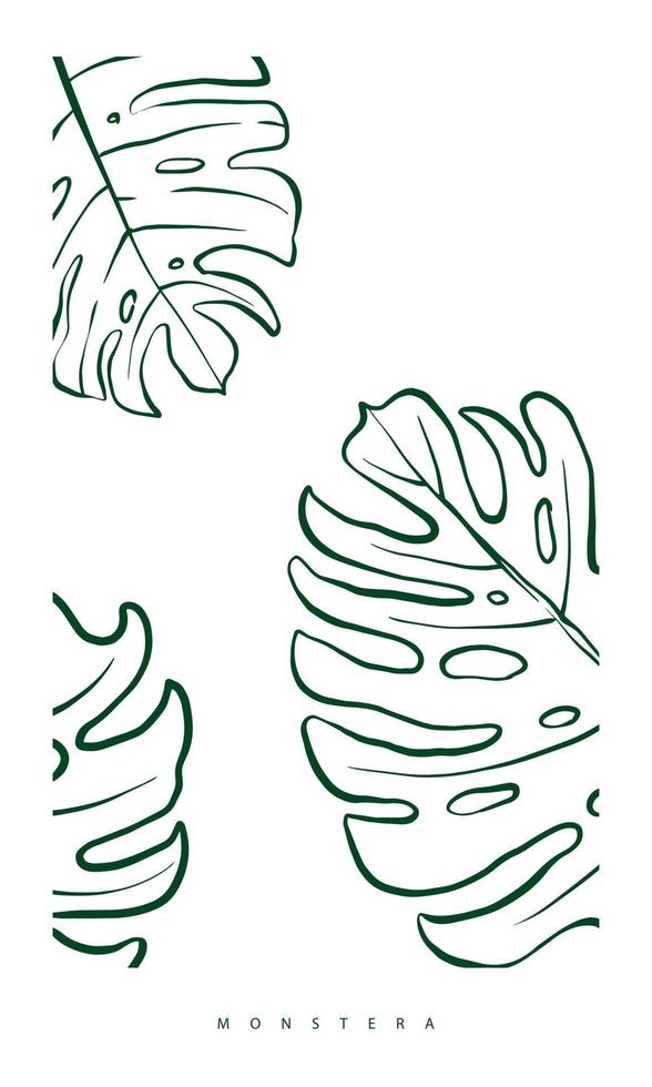 feuille de monstera au contour minimal vert. illustration de feuillage tropical. dessin dessiné à la main pour la conception d'impression, d'affiche et de carte postale. vecteur