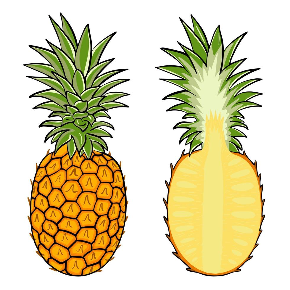 ananas isolé illustration vectorielle vecteur