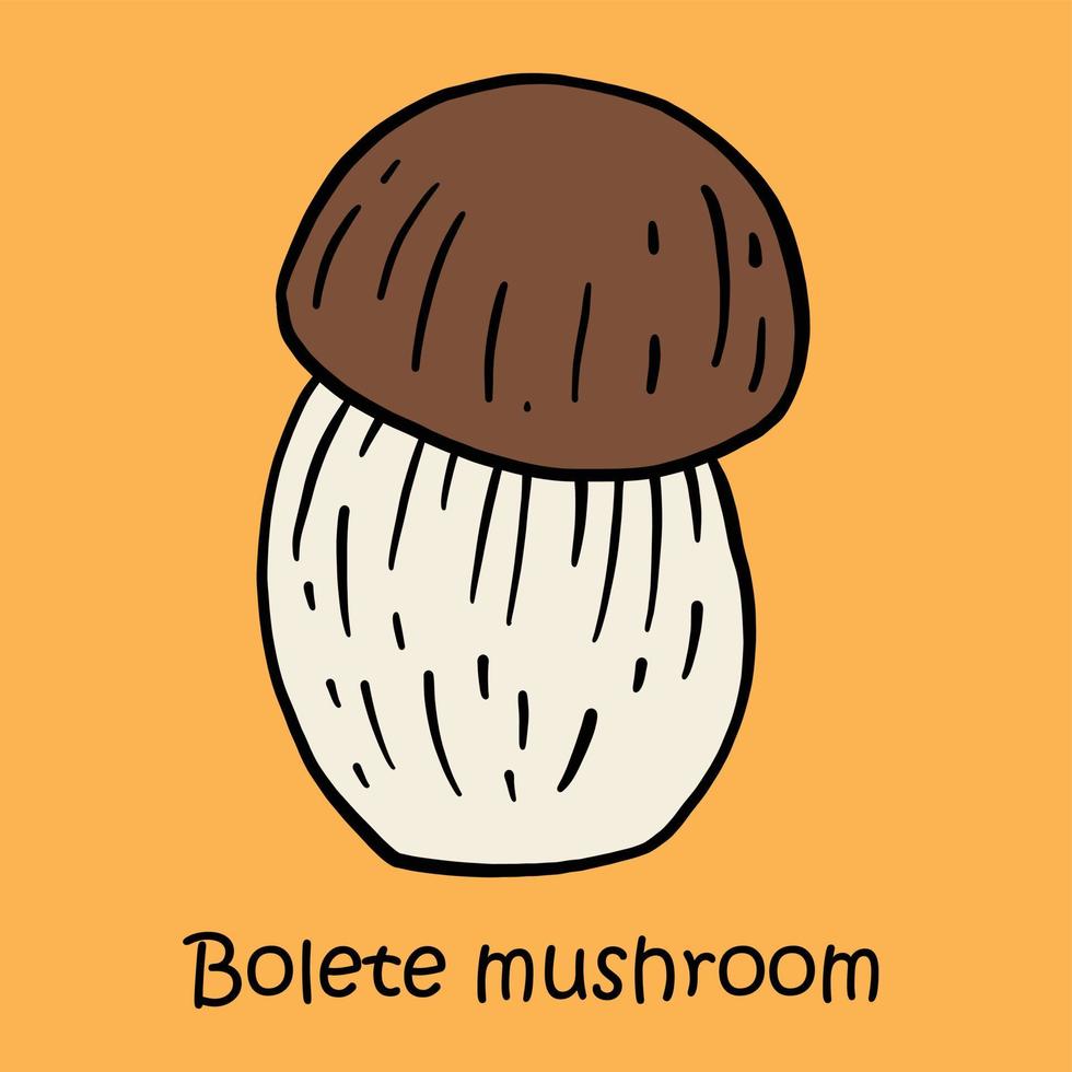 doodle croquis à main levée dessin de champignon bolet. vecteur