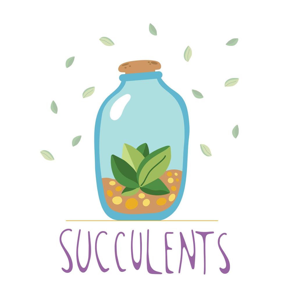 succulentes dessinés à la main dans une bouteille en verre avec de la saleté, style doodle, isolé sur fond blanc. vecteur