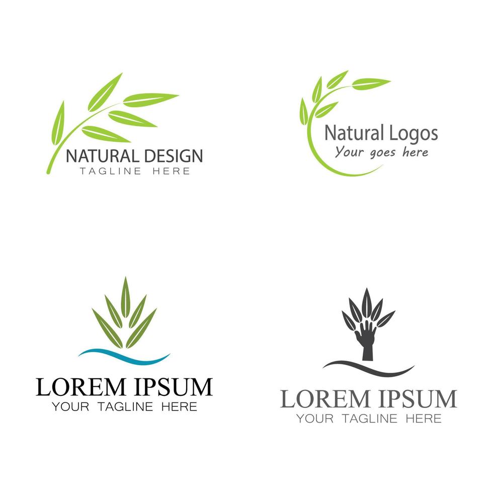 modèle de logo feuille icône vector illustration design