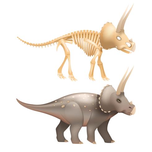 Art de dinosaure Triceratops avec squelette vecteur