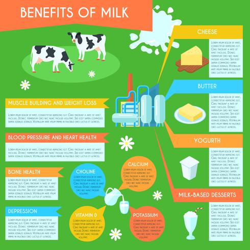 Affiche de mise en page infographie lait vecteur