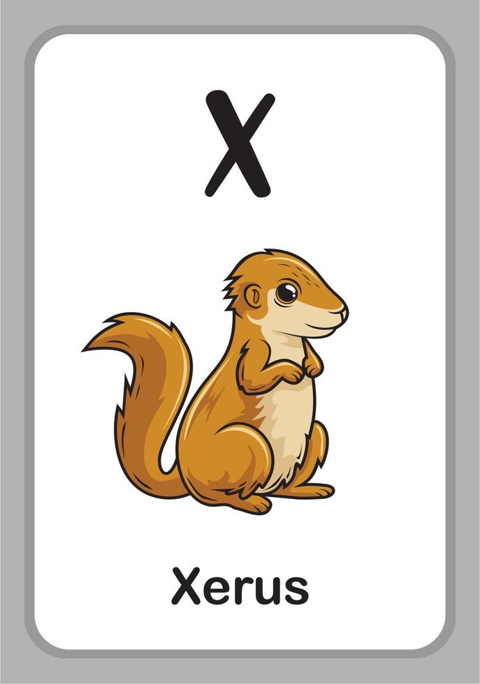 cartes mémoire pour l'éducation de l'alphabet animal - x pour xerus vecteur