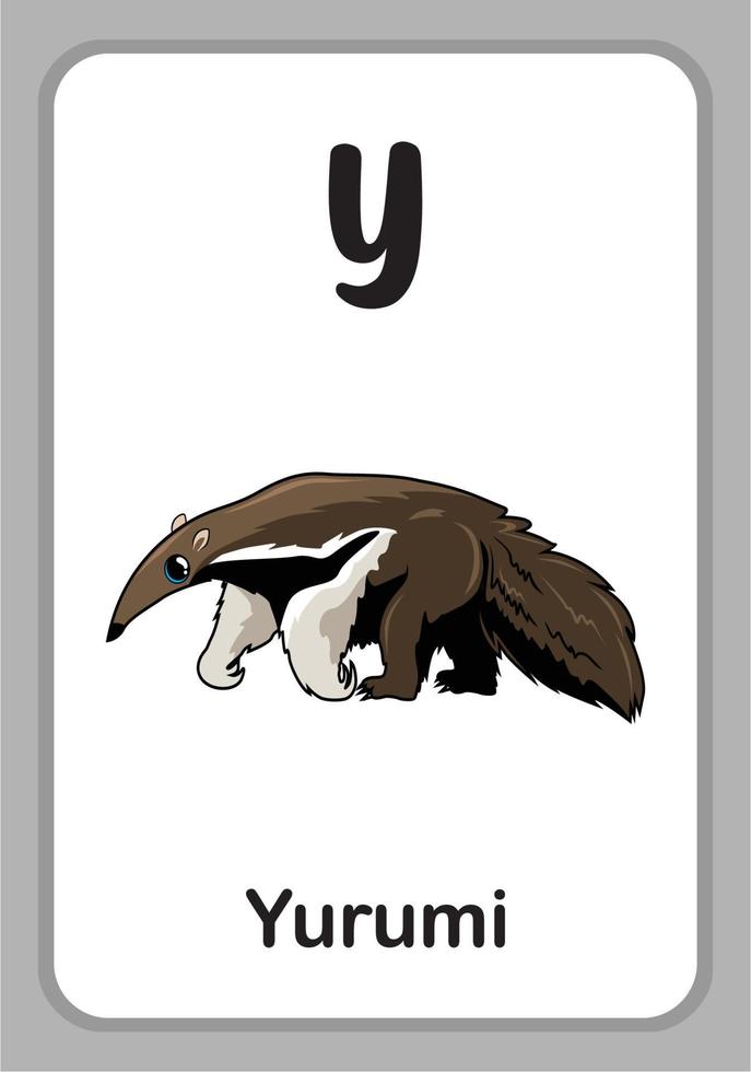 cartes mémoire pour l'éducation de l'alphabet des animaux - y pour yurumi vecteur