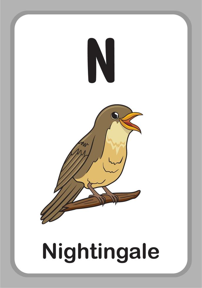 flashcards pour l'éducation de l'alphabet animal - n pour oiseau rossignol vecteur