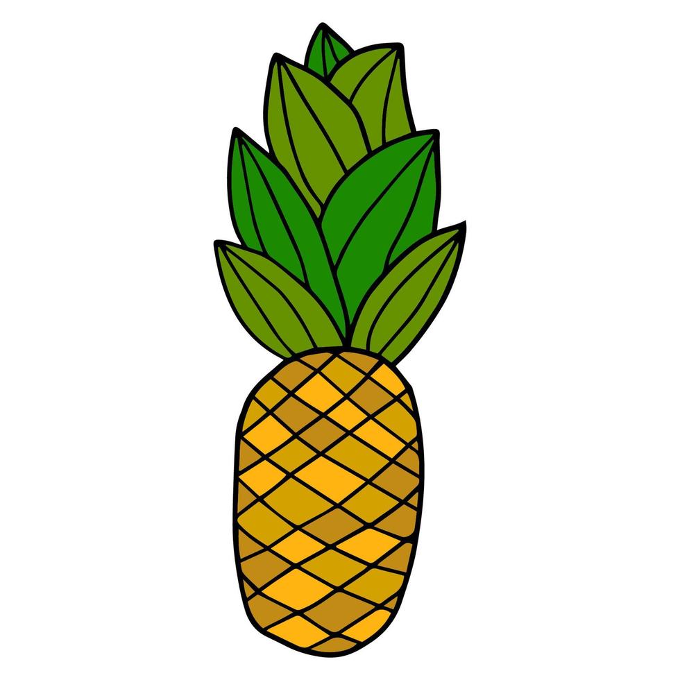 ananas doodle dessinés à la main vecteur