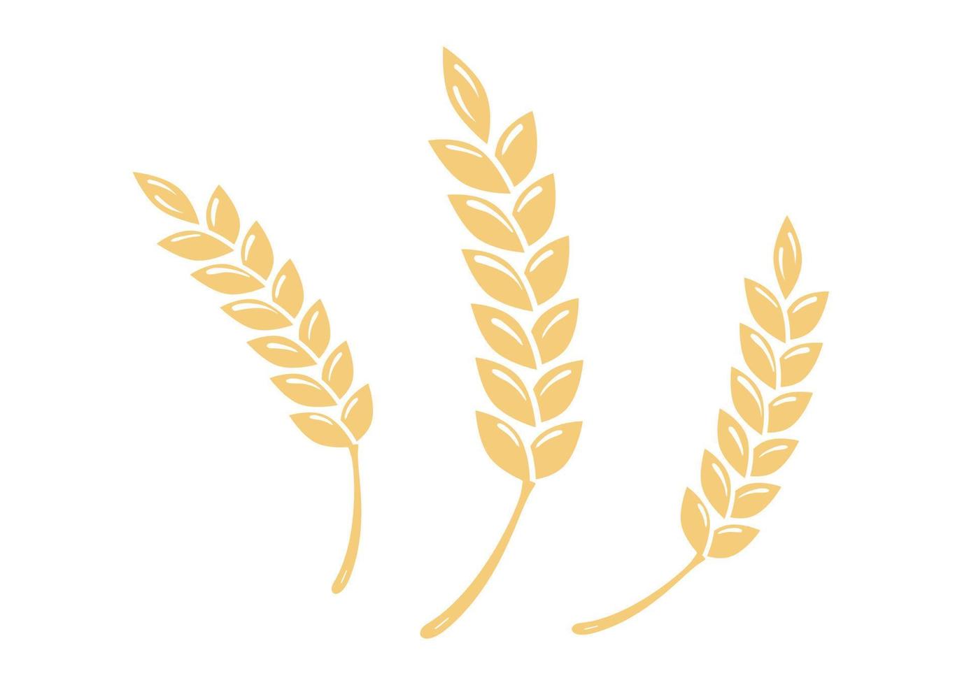 illustration vectorielle d'épice de blé. épice dorée isolée sur fond blanc. trois épice de blé vecteur